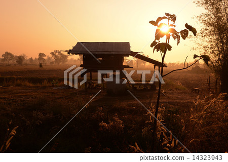 ASIA THAILAND ISAN AMNAT CHAROEN 14323943