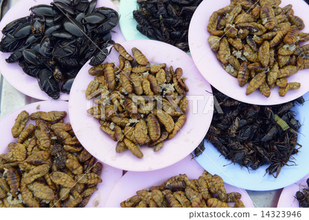 ASIA THAILAND ISAN AMNAT CHAROEN 14323946