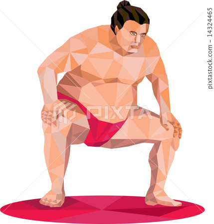 Japanese Sumo Wrestler Squat Low Polygon 14324465