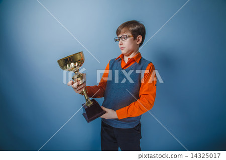 teenager boy of twelve European appearance in brown hair retro d 14325017