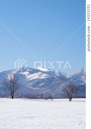 Hidaka mountain range and snowy field 14325351