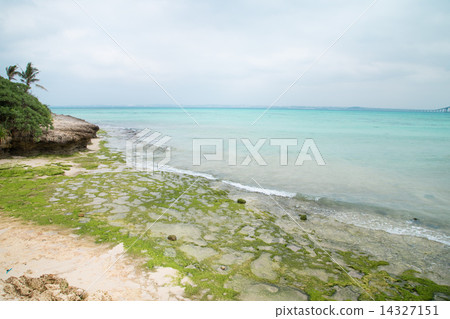 Miyakojima Irabujima Okinawa Irabu Ohashi Aoi 14327151