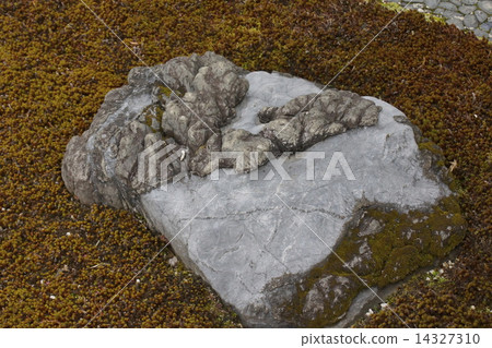 Garden stone 14327310