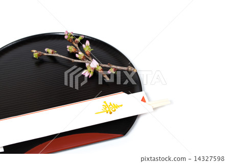 Cherry Blossoms 14327598