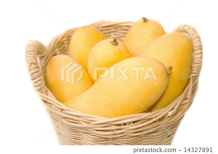 closeup ripe mangoes in basket closeup ripe mangoes in basket 14327891