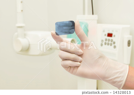 Dental X-ray image 14328013