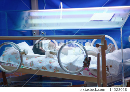 Newborn premature in incubator Newborn premature in incubator 14328038