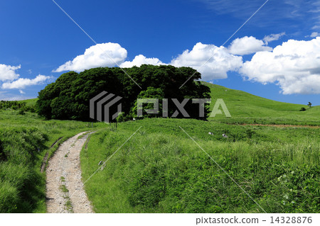 Summer Akiyoshidai Summer Akiyoshidai 14328876