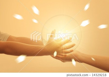 親子手 親子手 14329218