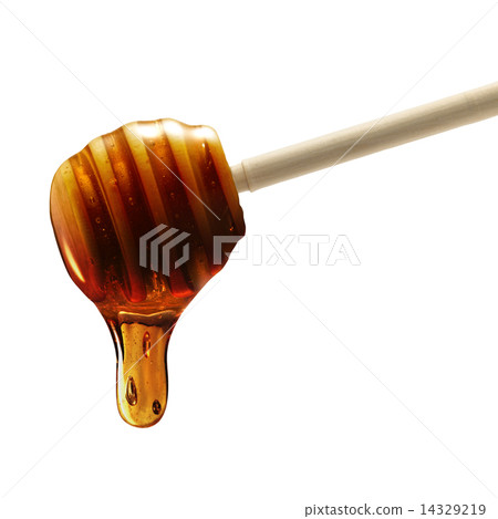 蜂蜜 14329219