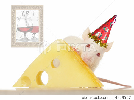 Rat 14329507
