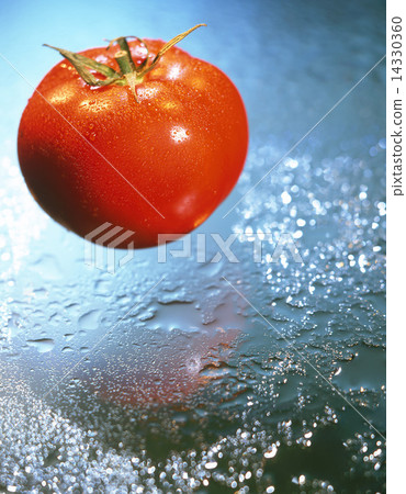 Tomato Tomato 14330360