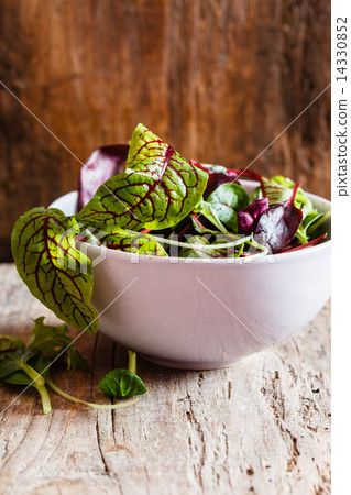 fresh salad leaves fresh salad leaves 14330852
