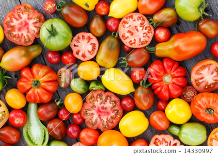 colorful tomatoes colorful tomatoes 14330997