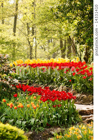spring garden 14331410