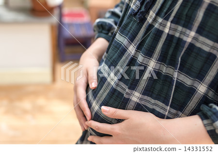 孕婦圖像 14331552