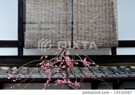 Seven sceneries in Kyoto 14332087