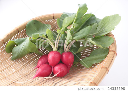 Radish 14332398