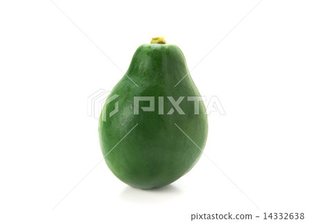 藍木瓜 藍木瓜 14332638