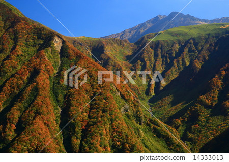 Autumn leaves of Chokaiyama Fengoku, Akita prefecture Autumn leaves of Chokaiyama Fengoku, Akita prefecture 14333013