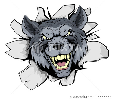Wolf mascot break out 14333562