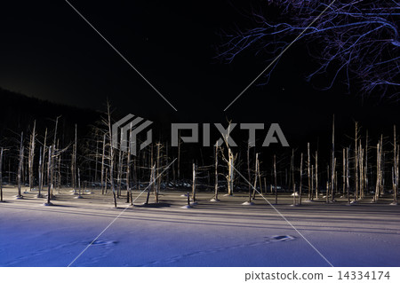 Blue pond lighted up Biei town Blue pond lighted up Biei town 14334174