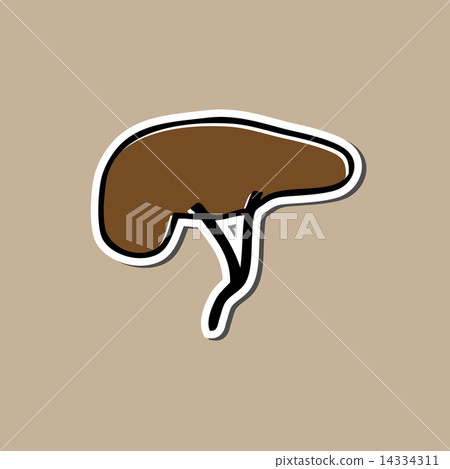 Liver sticker drawing cartoon 14334311