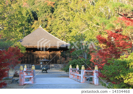 White Water Amidado 14334468