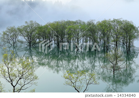 Yamagata Shirakawa Lake of fresh green 14334840