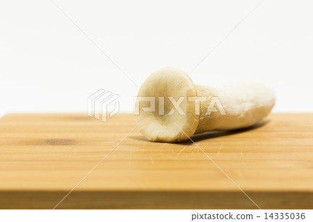 king oyster mushroom king oyster mushroom 14335036