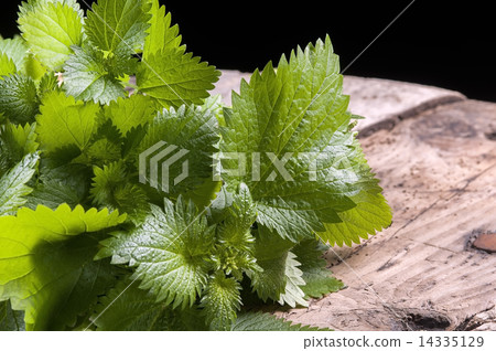 fresh nettles on  a wodden board 14335129
