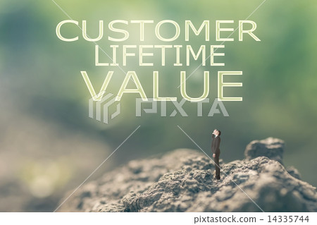 Customer Lifetime Value 14335744