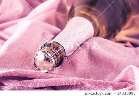 sparkling champagne in the bottle sparkling champagne in the bottle 14336995