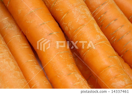 Carrot fresh vegetable group Carrot fresh vegetable group 14337461