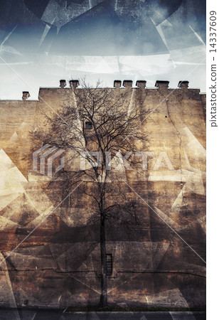 Old leafless tree on old yellow wall background, photo collage 14337609