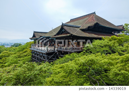 The stage of Shimizu 14339019