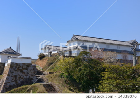 Tomioka castle 14339076