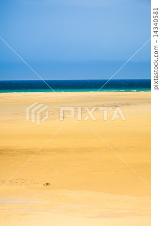 Beach on Atlantic ocean coast 14340581