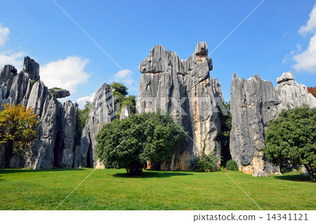 雲南的石林 雲南的石林 14341121