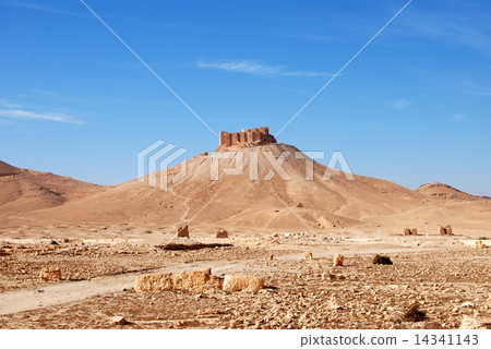 巴爾米拉仍然是Citadel Citadel 巴爾米拉仍然是Citadel Citadel 14341143