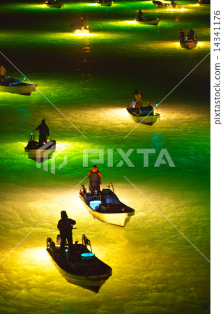 Shirasu鰻魚釣Yoshinogawa Shirasu鰻魚釣Yoshinogawa 14341176