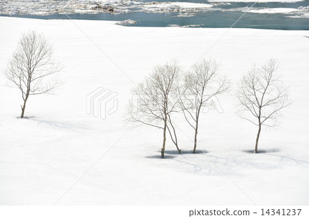 雪域的樹木（Lake Autumn Fan） 14341237