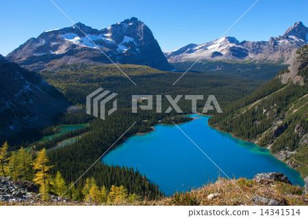 Hiking in a Canadian National Park 14341514