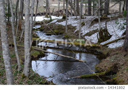 Snow melting brook Snow melting brook 14341802