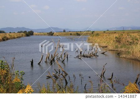 Watarase Setoji Watarase Setoji 14341887