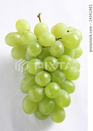 Rosario Bianco Rosario Bianco 14341981