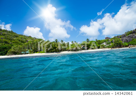 Beautiful nature on the shore of the turquoise waters of the oce Beautiful nature on the shore of the turquoise waters of the oce 14342061