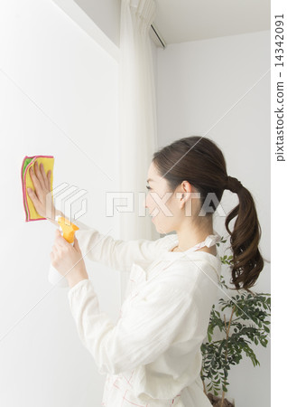 Window wipe 14342091