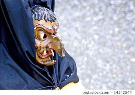 Carneval in Germany 14342844