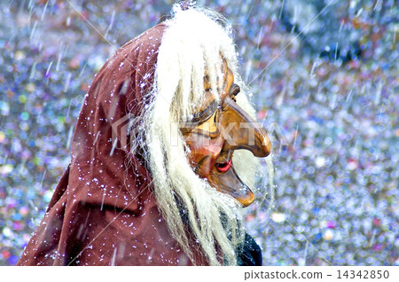 Carneval in Germany 14342850